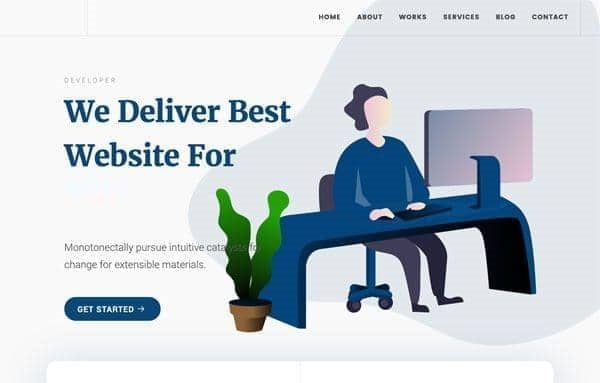 Developer